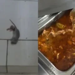 Foto: Especial Leouve