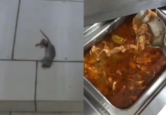 Denúncia expõe condições do alojamento de atletas das categorias de base do Brasil de Farroupilha