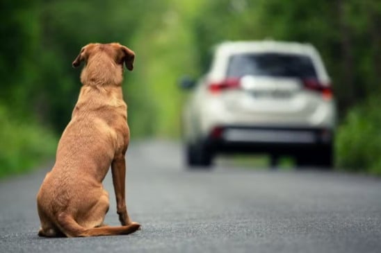 O texto reúne diferentes projetos sobre o tema e tenta transformar a prática em infração gravíssima no Código de Trânsito Brasileiro. (Foto: Reprodução)
