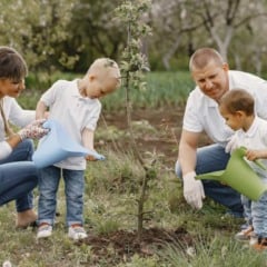 Família plantando árvore, pai, mãe e filhos regando a muda juntos no jardim.