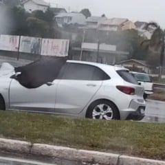 Especial Leouve/Divulgação