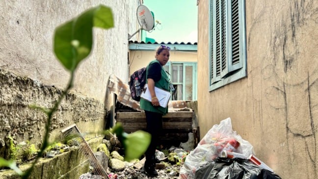 aedes aegypti fiscalização vigilância