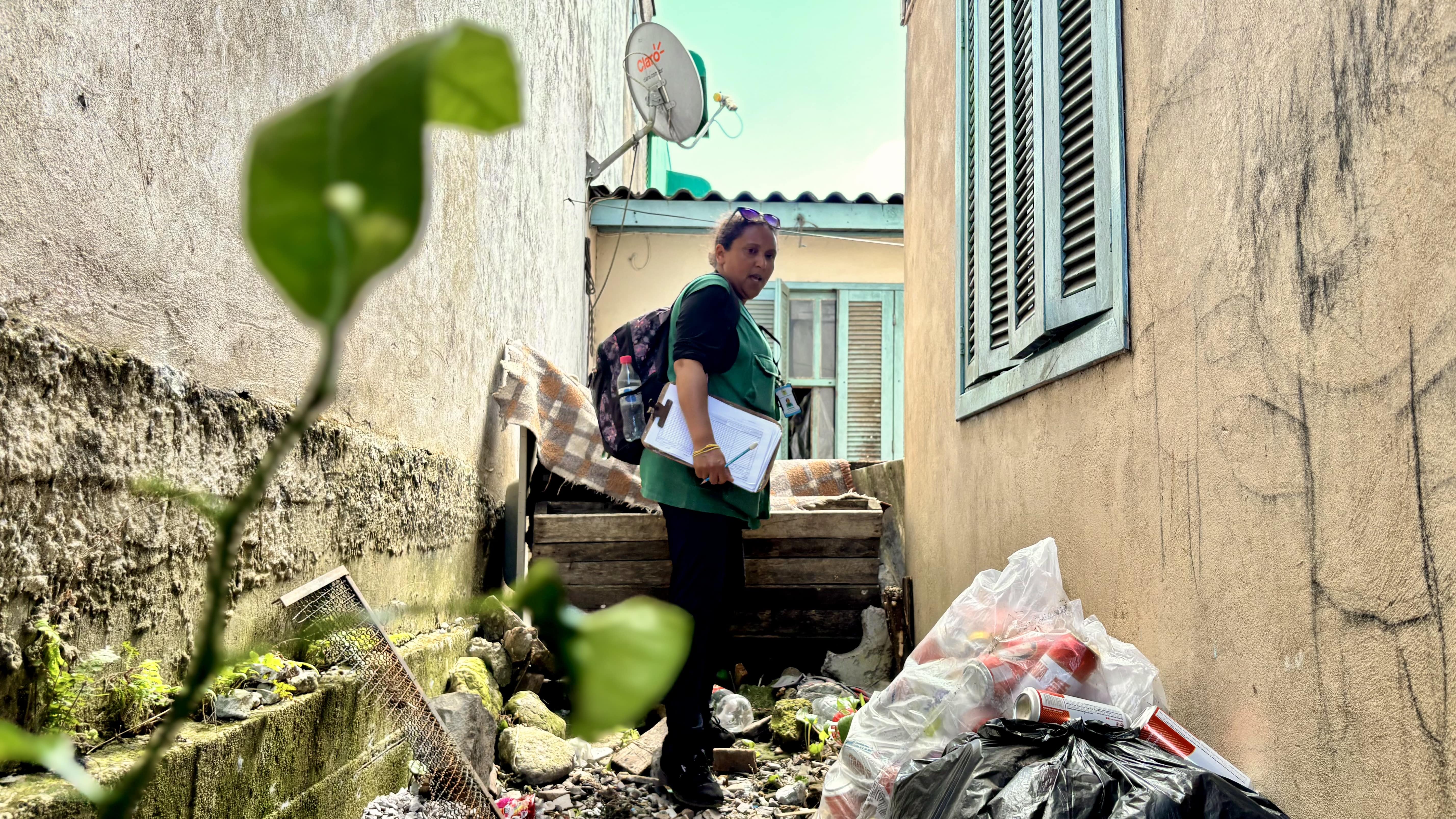 Seis regiões de Caxias do Sul estão em alerta por infestação de Aedes aegypti