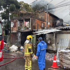 Foto: Andréia Copini
/Divulgação
