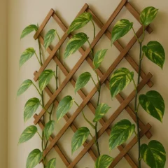 tutor de treliça na jibóia