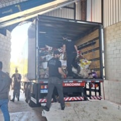 Foto: Polícia Civil/Divulgação