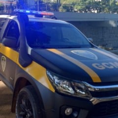 Foto: GCM/Divulgação