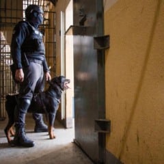 Foto: Rafa Marin/Ascom Polícia Penal