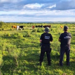Fotos: PF/Divulgação