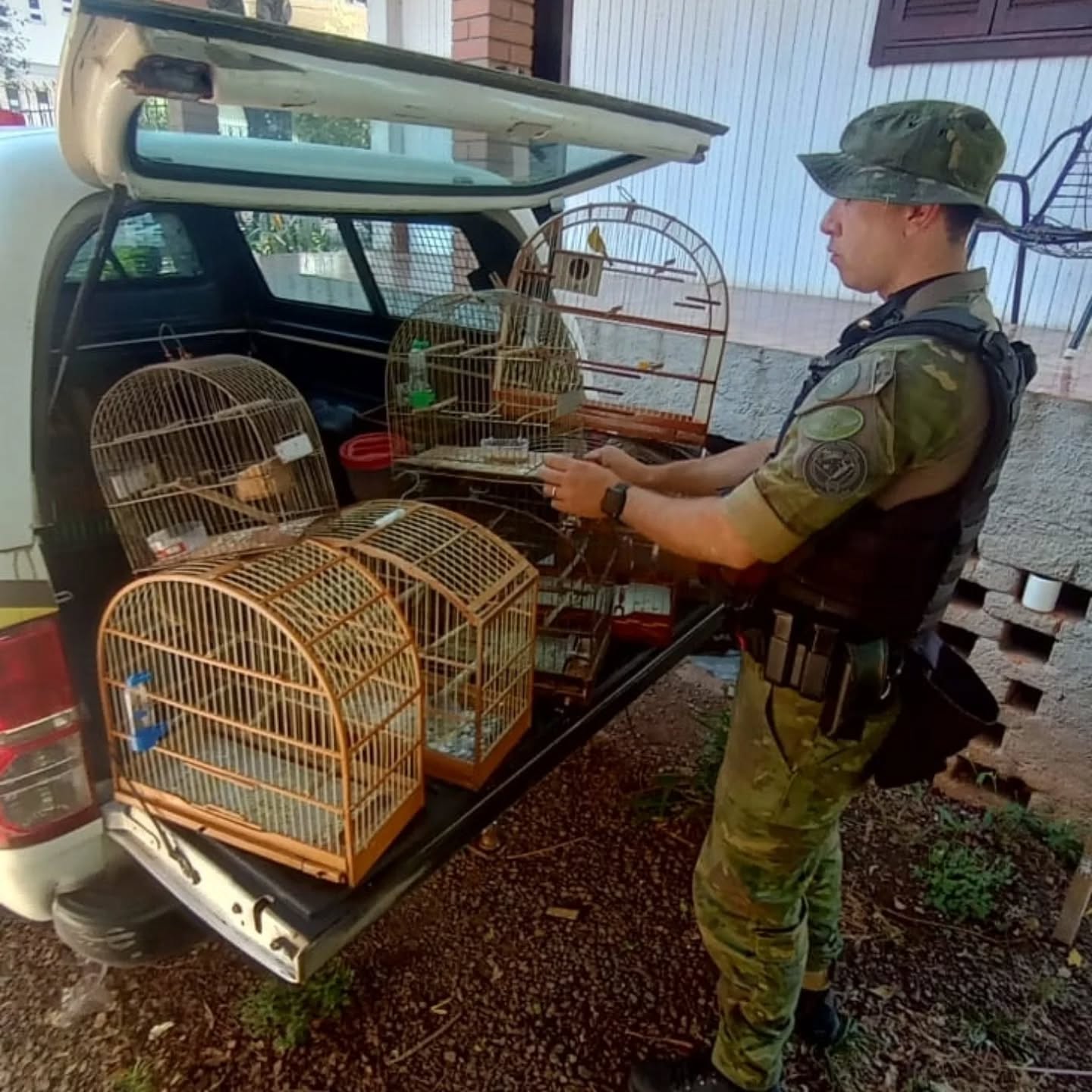 Polícia Ambiental flagra crime contra a fauna em Serafina Corrêa