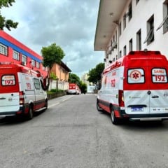 Fotos: Gisele Nozari/Divulga&ccedil;&atilde;o