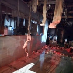 Fotos:  Bombeiros Militares de Bento Gonçalves