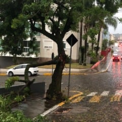 Fotos: Felipe Vicari/Grupo RSCOM