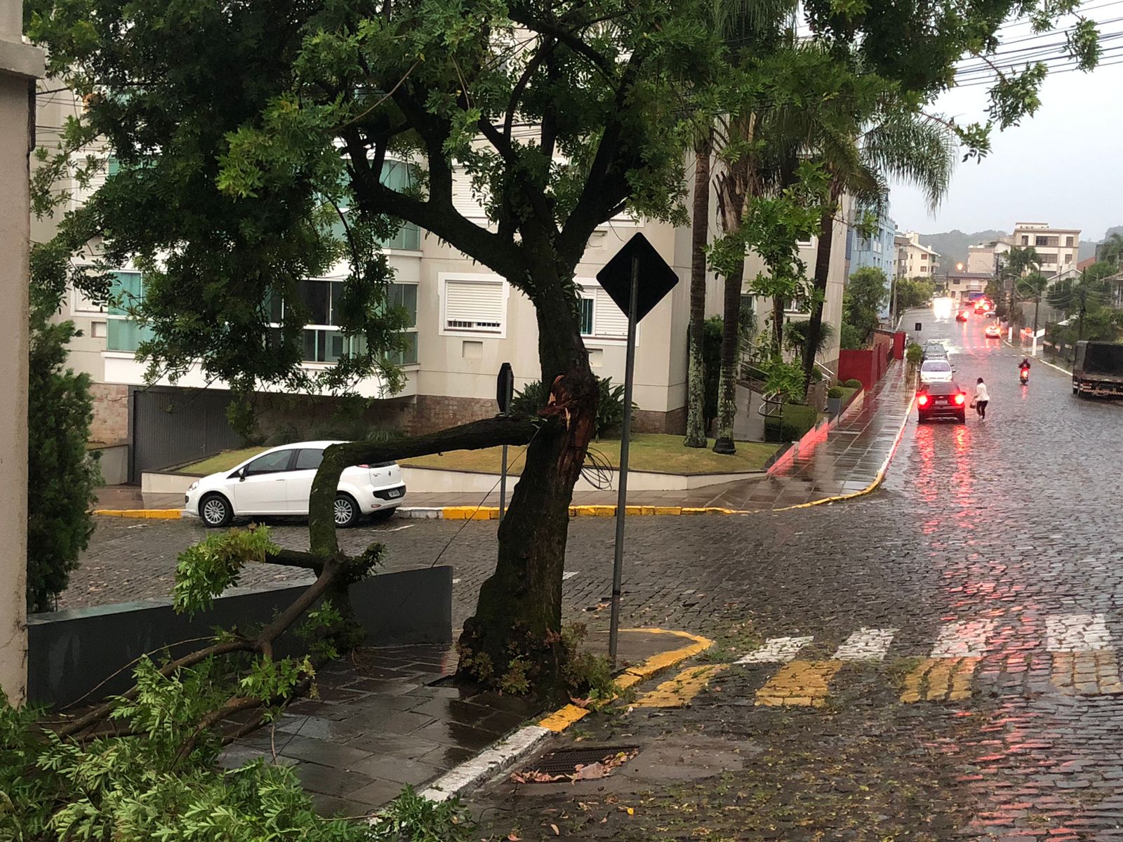 Diversos danos são registrados em Garibaldi após mau tempo causado por ciclone