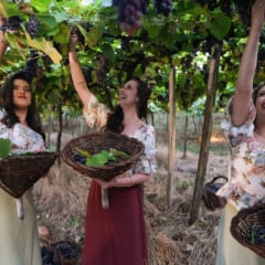 Foto: Divulgação/Assessoria de Comunicação Social              

