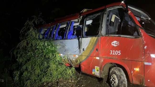 Fotos: SCAB/Divulgação