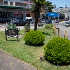 Foto: Ricardo Rech/Divulgação