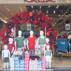 Foto: Fabio Grison/Divulgação