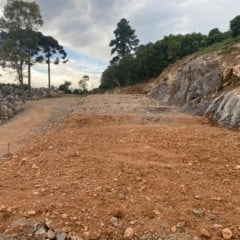 Foto: Carlos Henrique Cardoso/Divulgação

