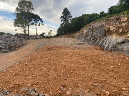 Foto: Carlos Henrique Cardoso/Divulgação

