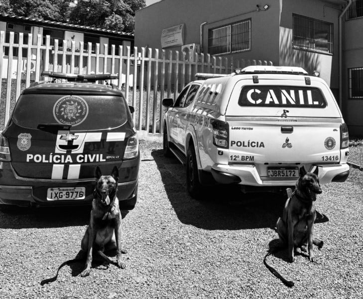 Dois traficantes são presos em ações distintas em Caxias do Sul