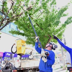 (Ícaro de Campos/Divulgação)