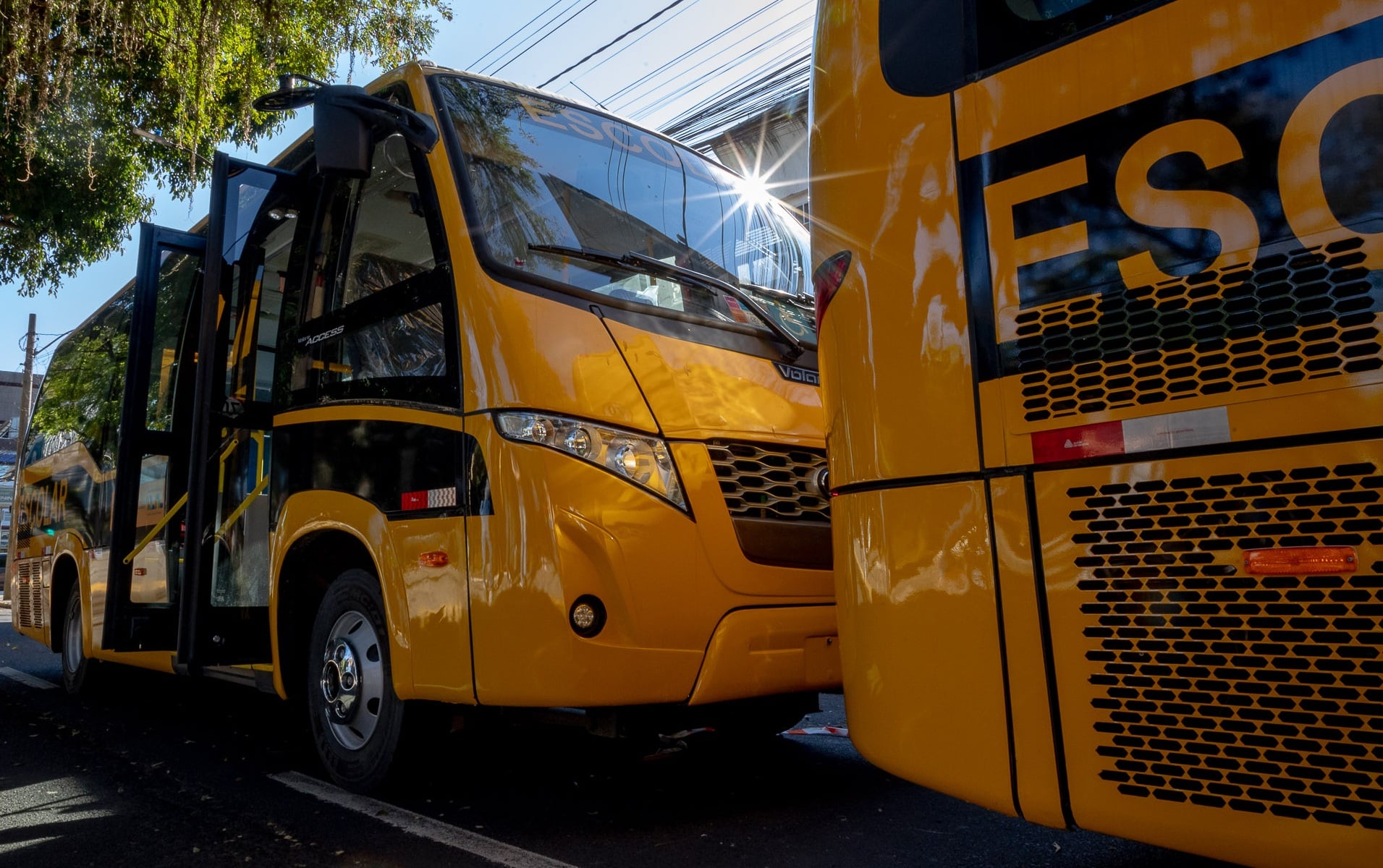 Isenção de IPVA no transporte escolar terá recadastramento a partir de janeiro no RS
