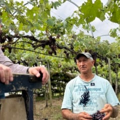 Fotos: Andréia Copini/Divulgação