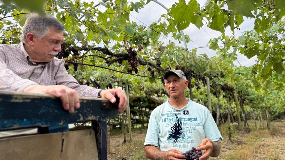 Fotos: Andréia Copini/Divulgação