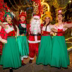 Fotos: Marcelo Pedroso/Divulgação