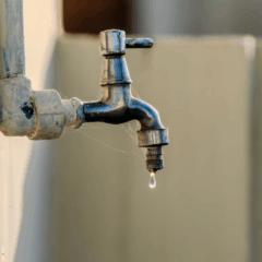 Foto: Canva/Divulgação