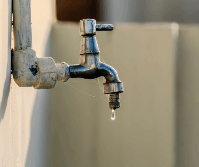 Foto: Canva/Divulgação