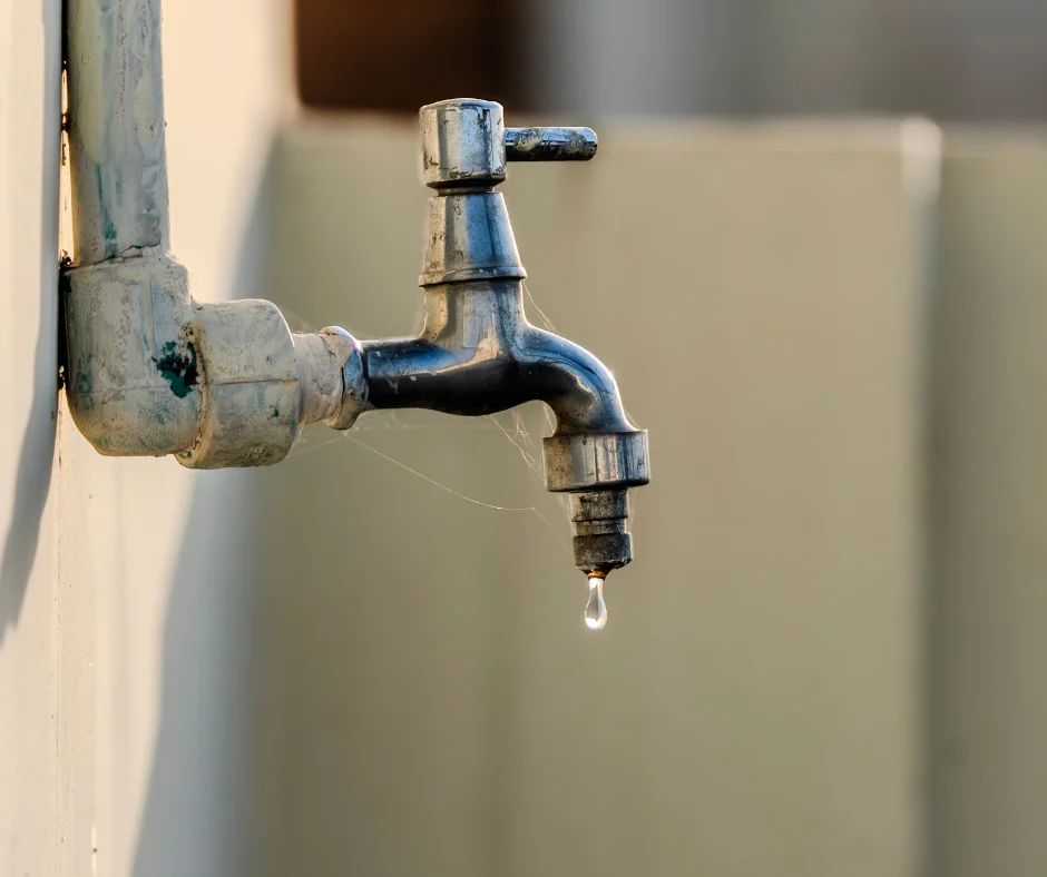 Foto: Canva/Reprodução Foto: Canva/Reprodução