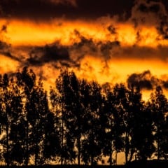 Foto: Fernando Dias/Ascom Seapi