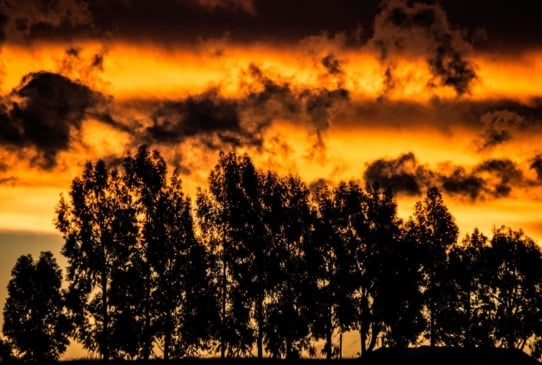 Foto: Fernando Dias/Ascom Seapi