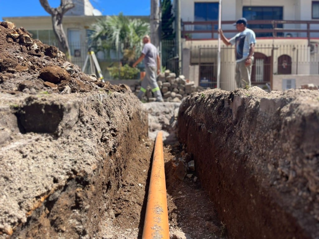 Foto: Samae/Divulgação Foto: Samae/Divulgação