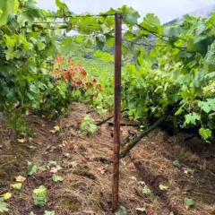 Fotos: Divulga&ccedil;&atilde;o