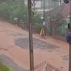 Foto: Reprodu&ccedil;&atilde;o/Redes Sociais