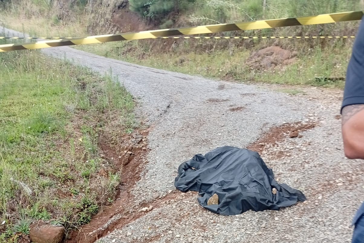 Homem morre em acidente com trator em vinícola de Flores da Cunha