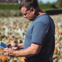 Agricultor analisa dados em tablet no campo de ab&oacute;boras.