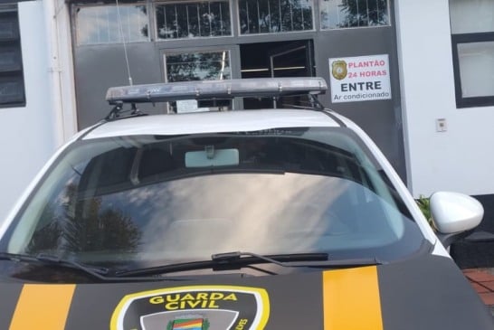 Foto: GCM/Divulgação