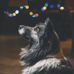 Foto: r3dmax/Freepik/Reprodu&ccedil;&atilde;o