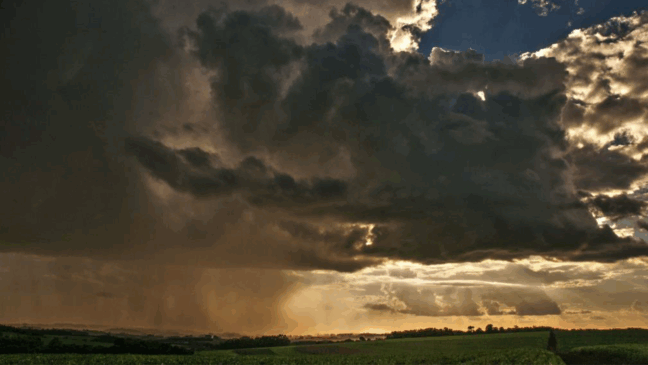 Foto: Fernando Dias/Seapi 