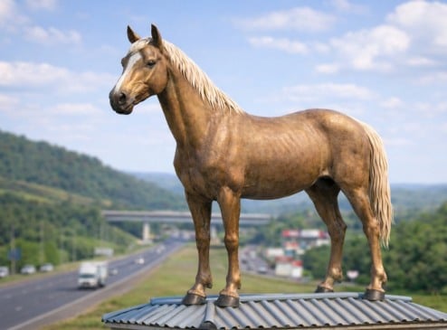 A obra retratará o animal exatamente sobre a representação de um telhado. (Foto: Imagem ilustrativa gerada por inteligência artificial / Independente)