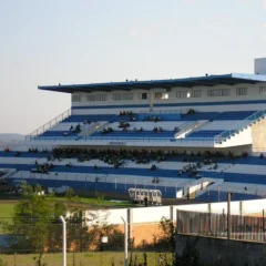 est&aacute;dio