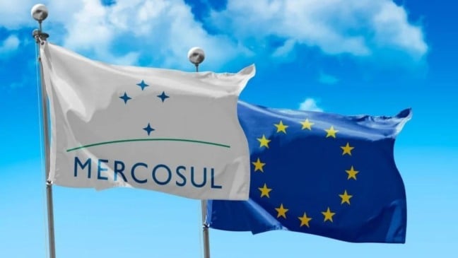 Produtores de vinho, concentrados principalmente na Serra Gaúcha, veem o acordo como uma ameaça à sustentabilidade do setor. (Foto: Reprodução)