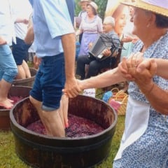 Fotos: Gerson Lenhard/Grupo RSCOM
