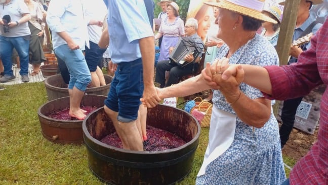 Fotos: Gerson Lenhard/Grupo RSCOM