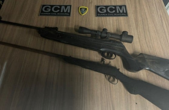 Foto: GCM/Divulgação