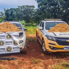 Foram apreendidos 67 tijolos de maconha, pesando um total de 47,450 kg. (Foto: CRBM)